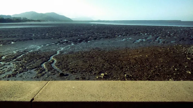 Taken from the Cairns sea wall, across the mudflat north toward the airport.