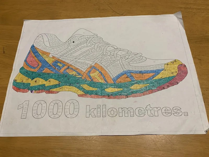 Completed 2019 running shoe.