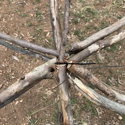 A detail photo of a geodesic dome joint constructed from sticks and cable ties.