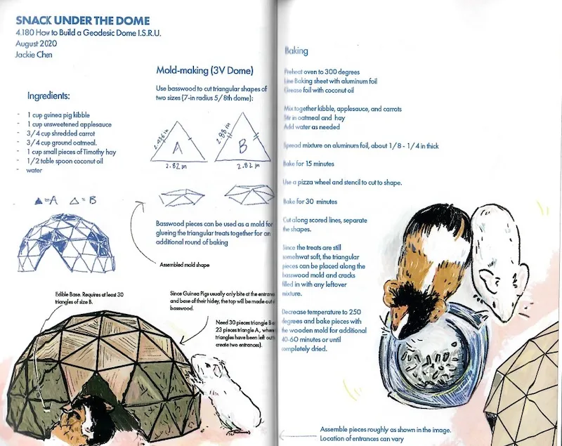 A scan of a page featuring a hamster feeding dome from Tom Sachs' zine how to build a geodesic dome.