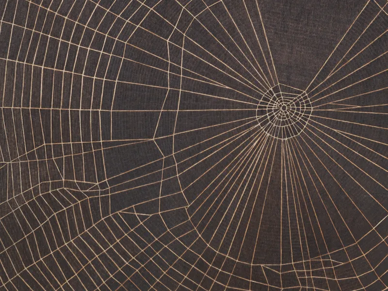 A picture of a woodburned spiderweb by Tom Sachs.